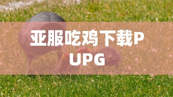 亚服吃鸡下载PUPG  第1张