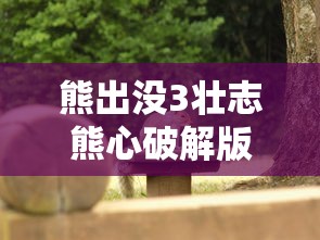 熊出没3壮志熊心破解版  第1张