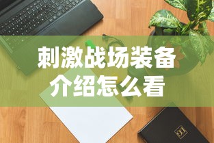 刺激战场装备介绍怎么看  第1张