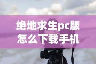 绝地求生pc版怎么下载手机版  第1张