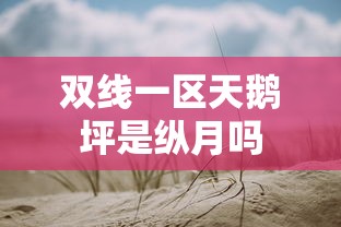 双线一区天鹅坪是纵月吗  第1张
