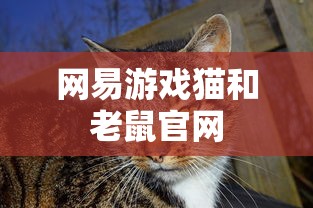 网易游戏猫和老鼠官网  第1张