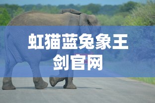 虹猫蓝兔象王剑官网  第1张