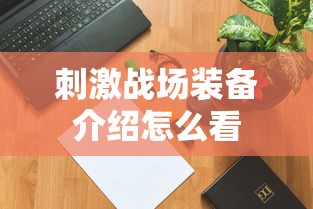刺激战场装备介绍怎么看  第1张