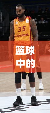 篮球中的pf是什么位置  第1张