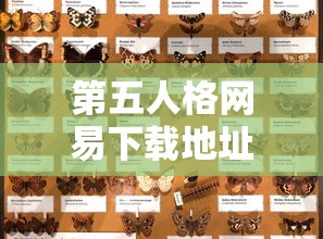 第五人格网易下载地址在哪  第1张