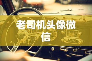 老司机头像微信  第1张
