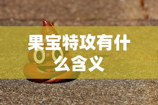果宝特攻有什么含义  第1张