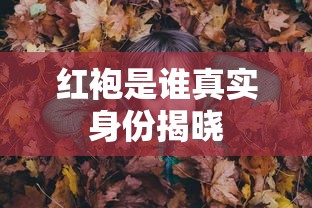红袍是谁真实身份揭晓  第1张