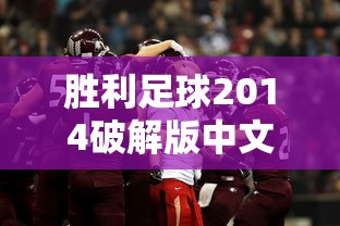 胜利足球2014破解版中文  第1张