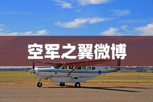 空军之翼微博  第1张