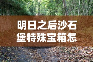 明日之后沙石堡特殊宝箱怎么开  第1张