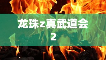 龙珠z真武道会2  第1张
