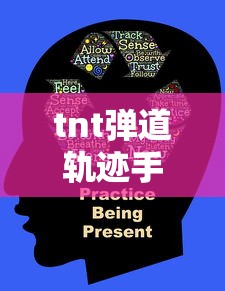 tnt弹道轨迹手游下载  第1张