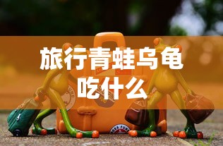 旅行青蛙乌龟吃什么  第1张