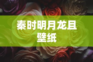 秦时明月龙且壁纸  第1张