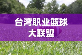 台湾职业篮球大联盟  第1张