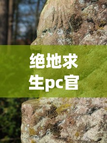 绝地求生pc官网下载  第1张