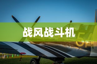 战风战斗机  第1张