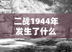 二战1944年发生了什么  第1张