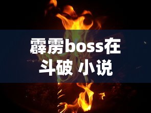 霹雳boss在斗破 小说  第1张