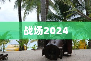 战场2024  第1张