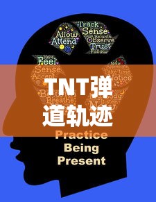 TNT弹道轨迹手机版下载  第1张