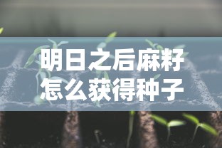 明日之后麻籽怎么获得种子  第1张