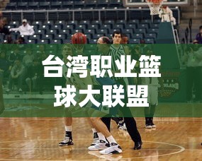 台湾职业篮球大联盟  第1张