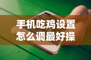 手机吃鸡设置怎么调最好操作  第1张