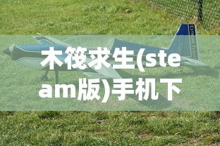 木筏求生(steam版)手机下载  第1张