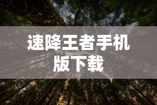 速降王者手机版下载  第1张