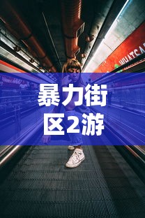 暴力街区2游戏破解版  第1张