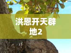 洪恩开天辟地2  第1张