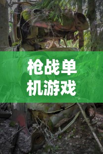 枪战单机游戏排行榜前十名  第1张