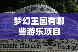梦幻王国有哪些游乐项目  第1张