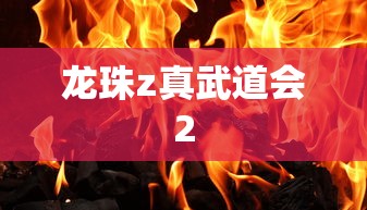 龙珠z真武道会2  第1张