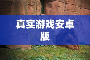 真实游戏安卓版  第1张