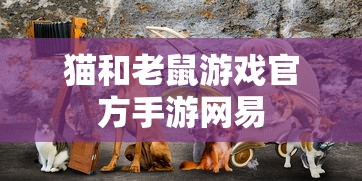 猫和老鼠游戏官方手游网易  第1张