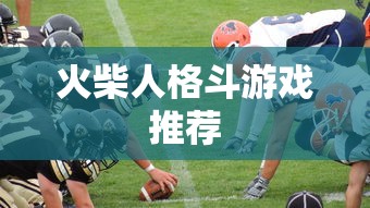 火柴人格斗游戏推荐  第1张