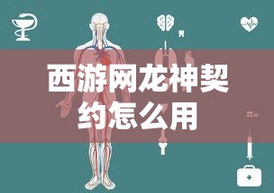 西游网龙神契约怎么用  第1张