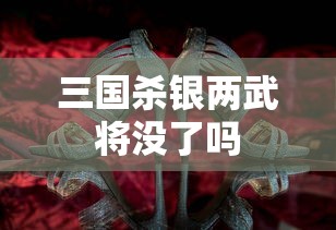三国杀银两武将没了吗  第1张