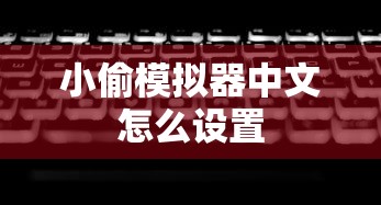 小偷模拟器中文怎么设置  第1张