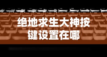 绝地求生大神按键设置在哪  第1张