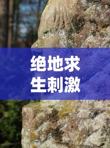 绝地求生刺激战场商城在哪下载  第1张