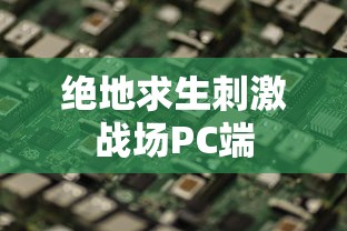 绝地求生刺激战场PC端  第1张