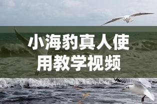 小海豹真人使用教学视频  第1张