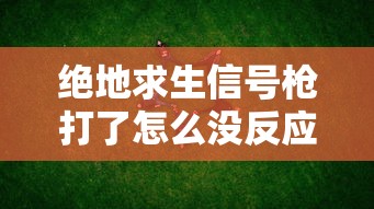 绝地求生信号枪打了怎么没反应  第1张