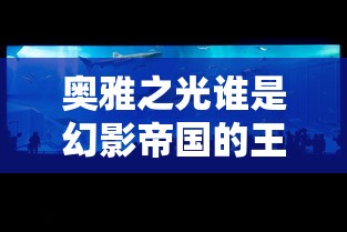 奥雅之光谁是幻影帝国的王?  第1张