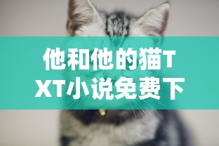 他和他的猫TXT小说免费下载  第1张